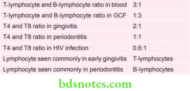 Periodontics Some Information about the Lymphocytes