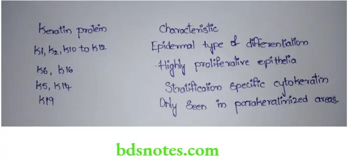 Periodontics Various Keratin Proteins and their Important Characteristics