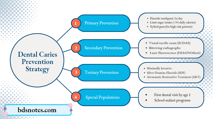 Prevention Of Dental Caries Question And Answers
