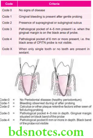 Public Health Dentistry Indices In Dental Epidemiology Codes of CPITN Probe