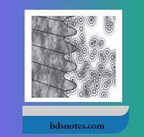 Representation of osseointegration