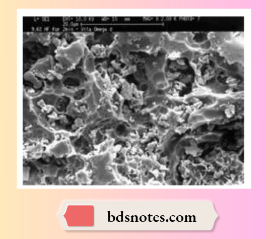SEM of etched ceramic using 9.6% hydrofloric acid for 2 minutes