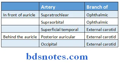 Scalp Temple And Face blood arterial suppley.