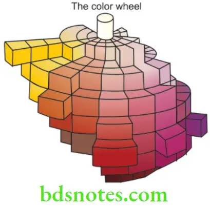 Structure and Properties Dental Materials Munsell color solid is also used to demonstrate the three dimensions of color