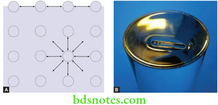Structure and Properties Dental Materials Surface Tension Representation and metal in the paper clip