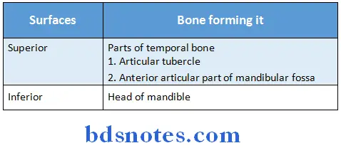 Temporal And Infratemporal Regions articular surfaces