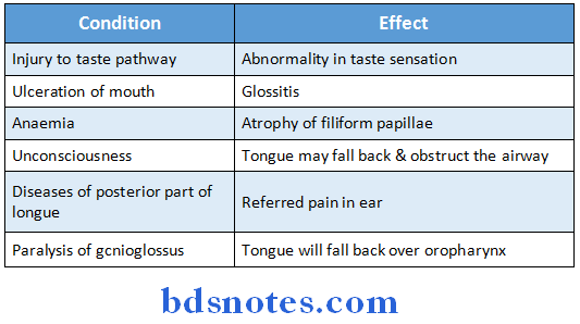 The Tongue applied importances