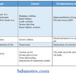 Water, Electrolyte And Acid Base Balance metabolic
