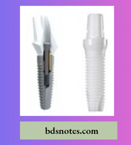 Zirconia abutment-titanium implant One piece zirconia abutment-implant