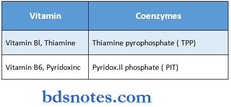 vitamins coenzymes