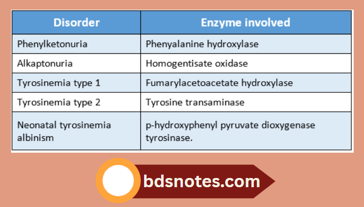 Amino Acid Metabolism Disorders