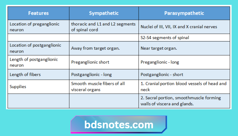 Autonomic Nervous System Comparison