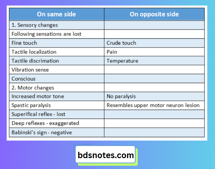 CNS Lesion Effects Diagram