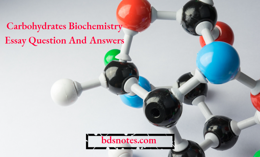 Carbohydrates Biochemistry