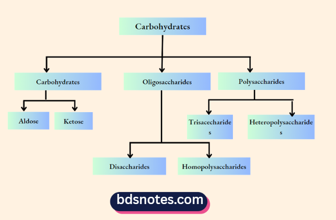 Carbohydrates Classification Diagram