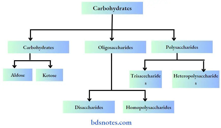 Carbohydrates-mutarotation-of-glucose