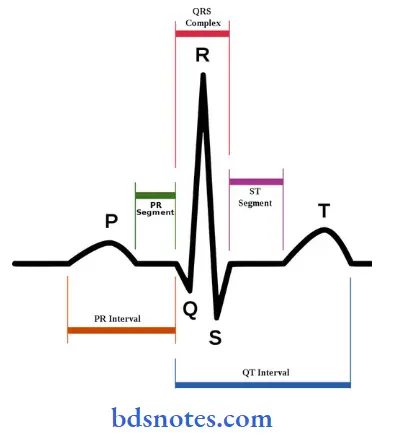 Cardiovascular System Question And Answers - BDS Notes