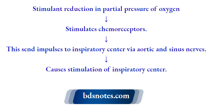 Chemical Regulation Of Respiration Mechanism Of Action