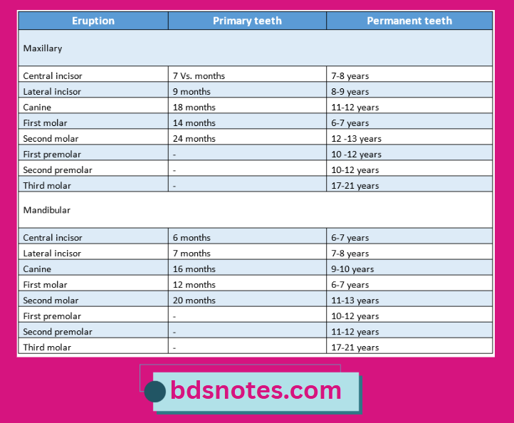 Clinical Importance Of Eruption Timelines