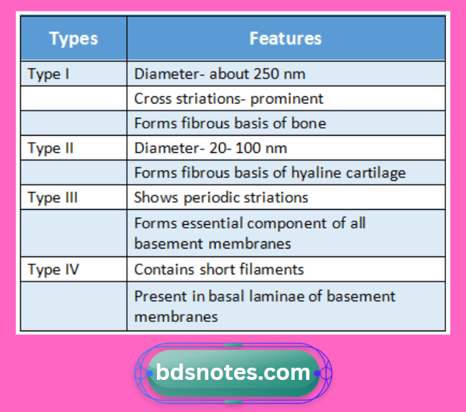 Collagen Types And Their Features