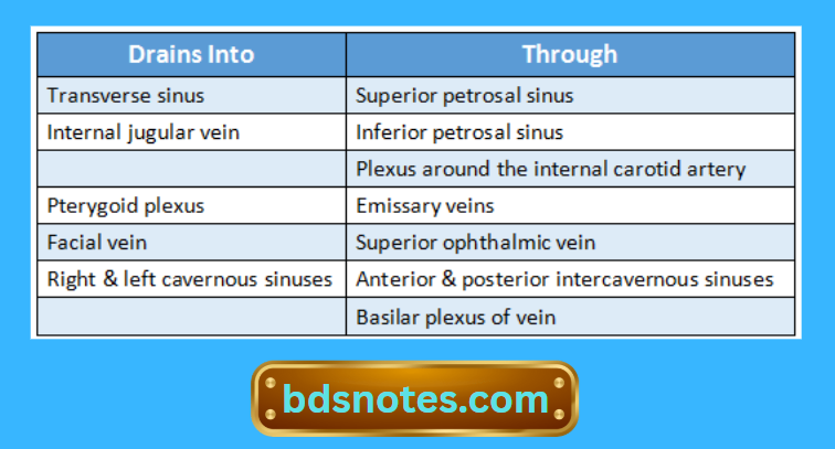 Cranial Venous Drainage Paths