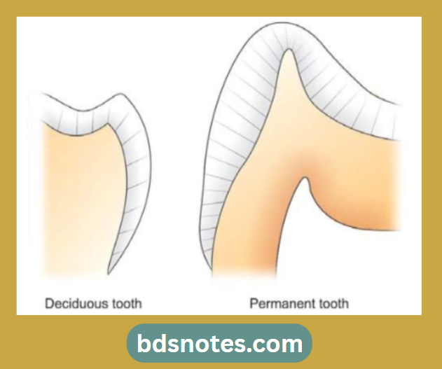 Deciduous Vs. Permanent Tooth Enamel
