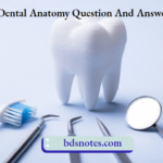 Dental Anatomy
