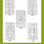 Dental Canine Identification Guide