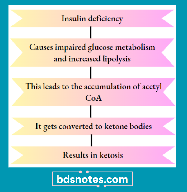 Diabetes Mellitus Pathway