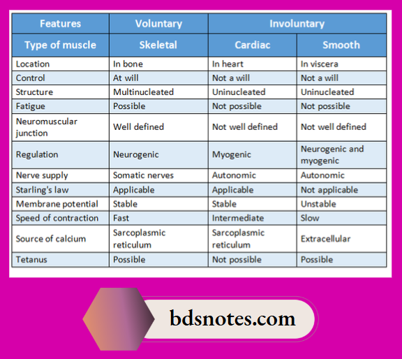 Difference Between Voluntary And Involuntary Muscles