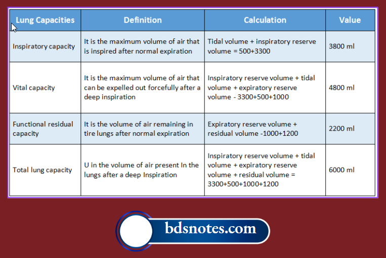 Different Lung Capacities