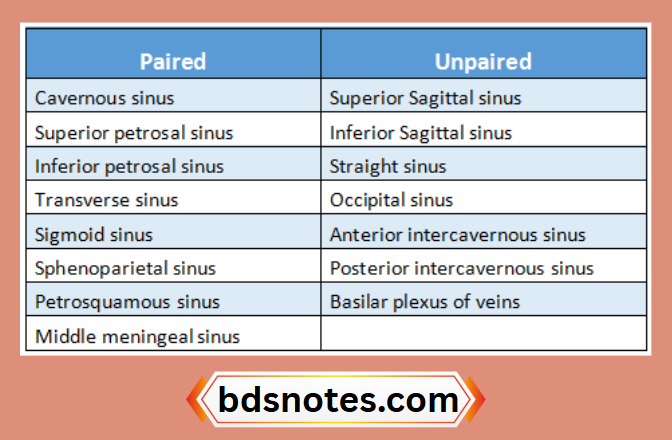 Dural Venous Sinuses Classification