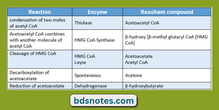 Enzymatic Reactions In Lipid Metabolism