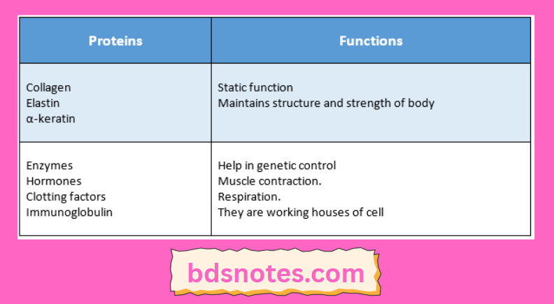 Enzymes Hormones Immunoglobulins