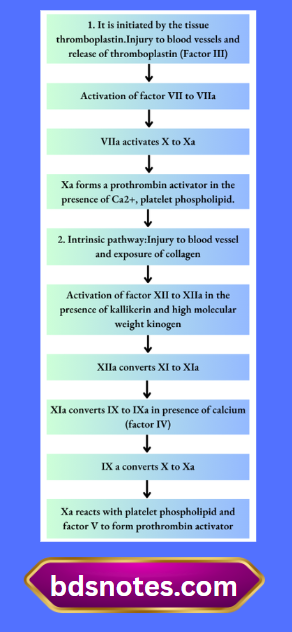 Extrinsic Pathway Coagulation