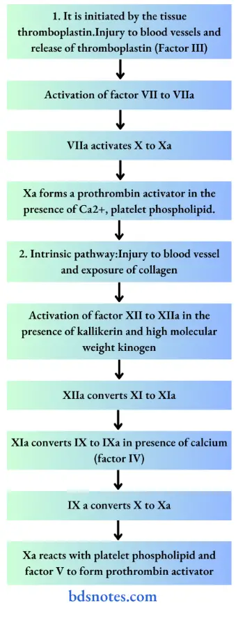 Extrinsic pathway
