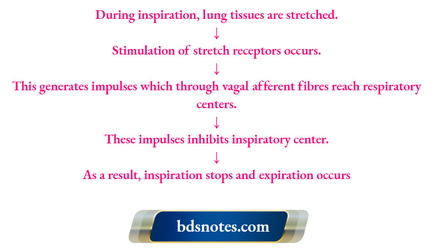Factors Affecting Respiratory Centers