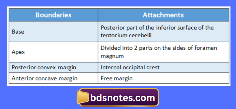 Falx Cerebelli Attachments Diagram