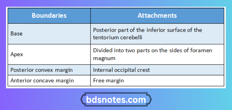 Falx Cerebri Attachments Diagram