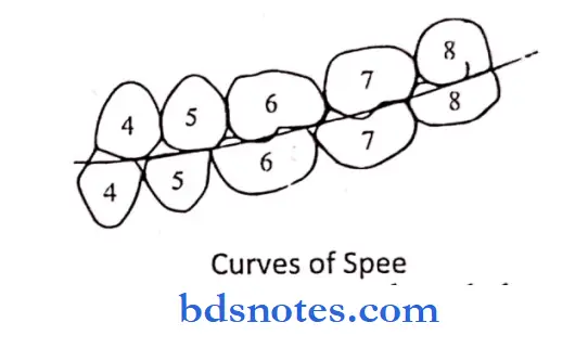 Forensics, Comparative Anatomy,Geometries, Form And Function Curves of spee
