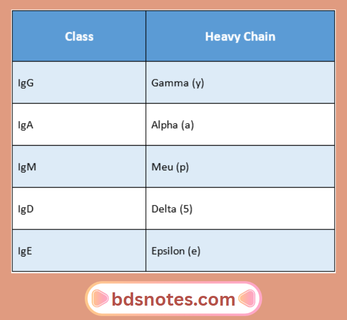 Gamma Alpha Mu Delta Epsilon Chains
