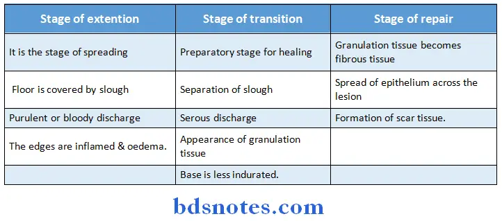General Surgery Practicals An ulcer oasses through three stages