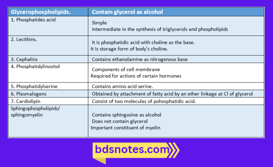 Glycerol Containing Phospholipids