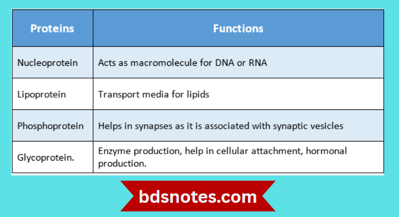 Glycoproteins In Cell Signaling