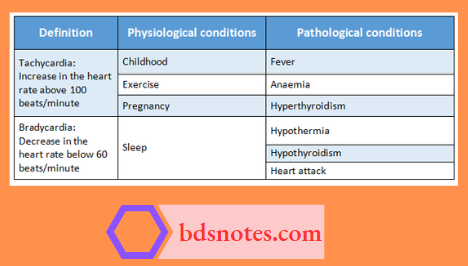 Heart Rate Conditions Diagram