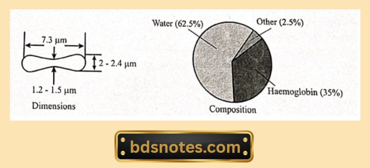 Human RBC Composition