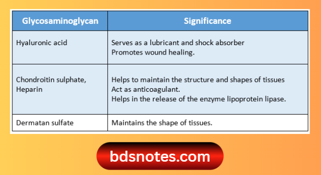 Hyaluronic Acid Chondroitin Sulphate Roles