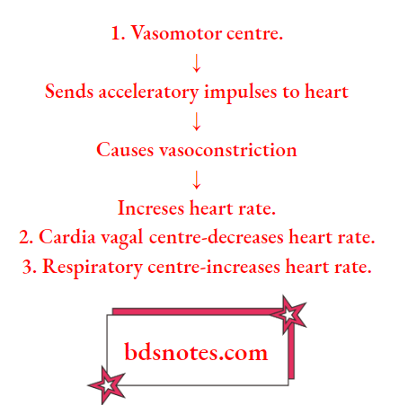 Hypoxia Stimulates Peripheral Chemoreceptors