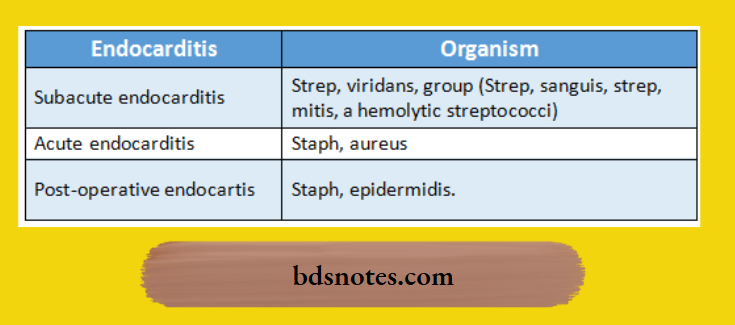 Infective Endocarditis