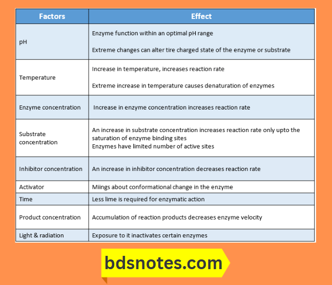 Influences On Enzyme Function